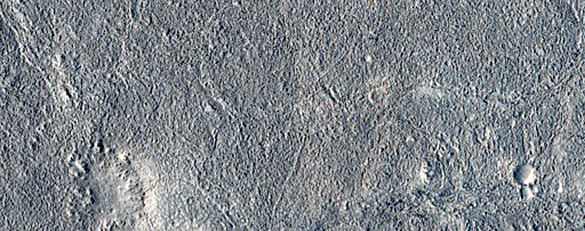 Utopia Planitia Terrain