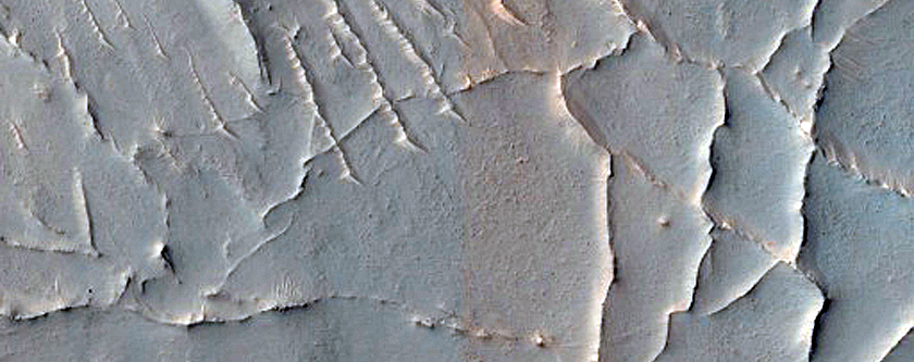Ridges in Nilosyrtis Mensae
