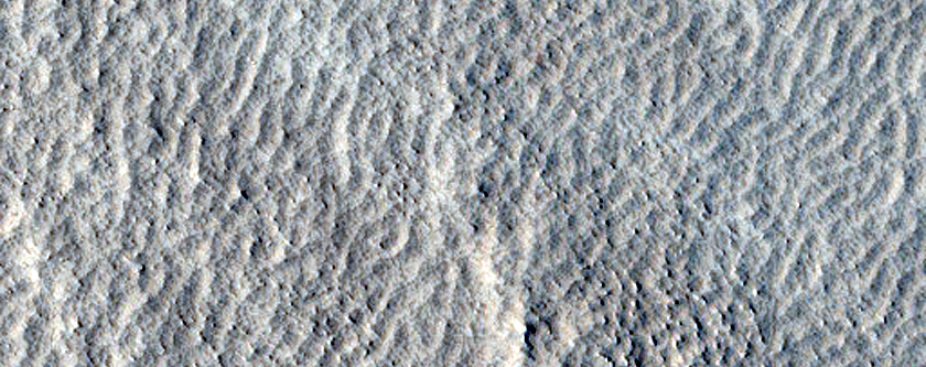 Terrain Sample