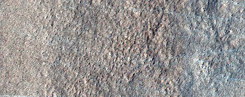 Terrain Sample