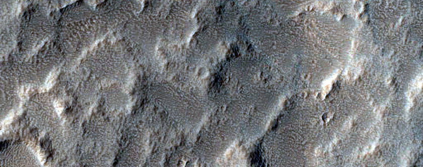 Terrain Sample