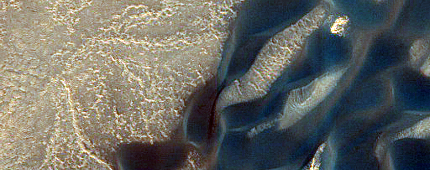 Polar Barchan Dune Convoy at Head of Olympia Undae