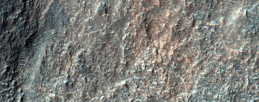 Terrain Sample