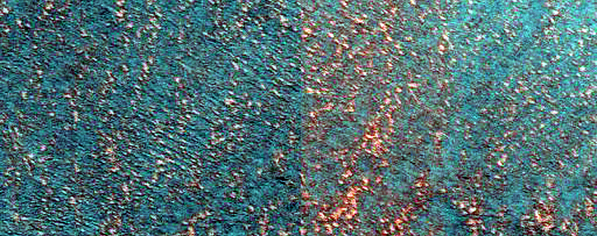 Perennial Ice