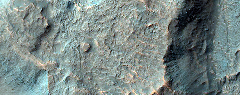 Dune Survey