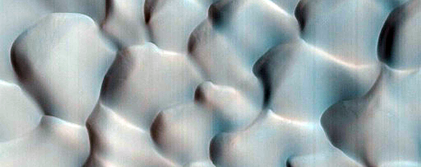 Dune Survey