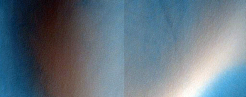 Dune Survey
