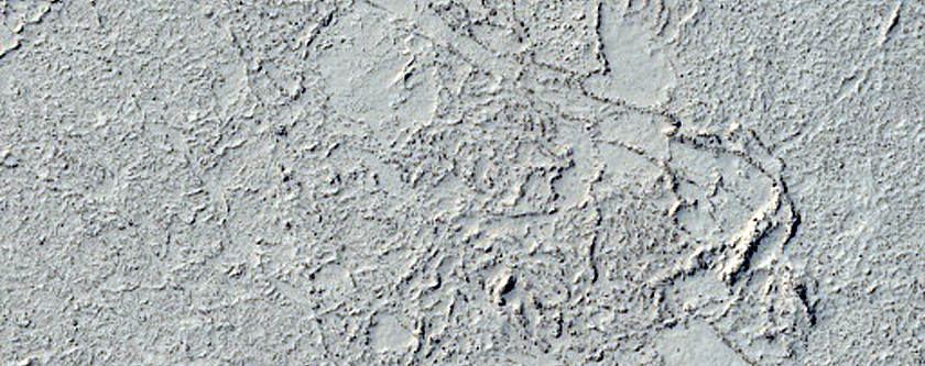 Patterned Ground in Elysium Planitia
