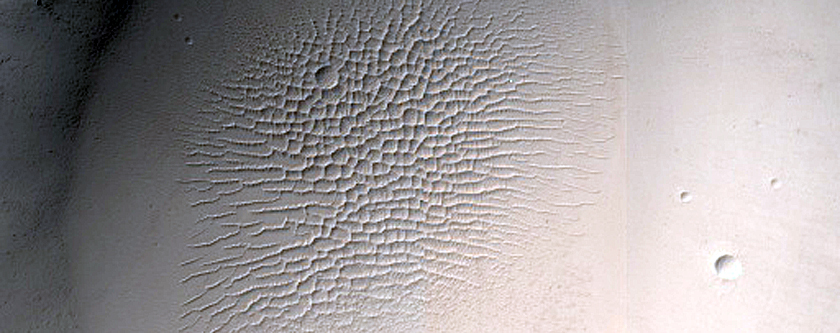 Terrain Sample