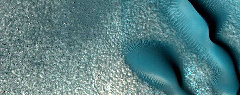 Dune Monitoring in Northern Mid-Latitude Crater