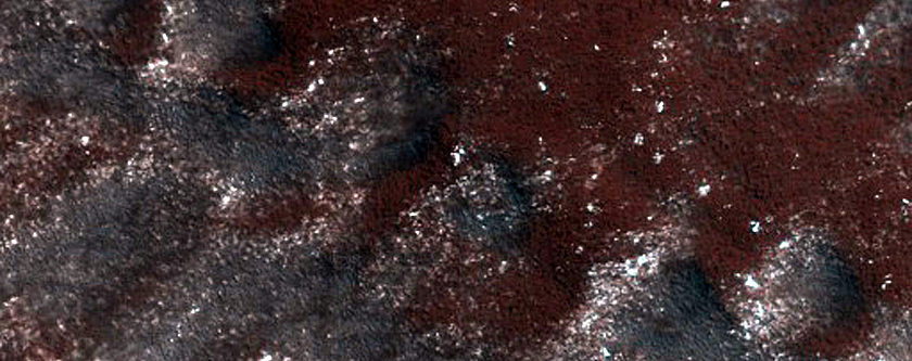 Terrain Sample