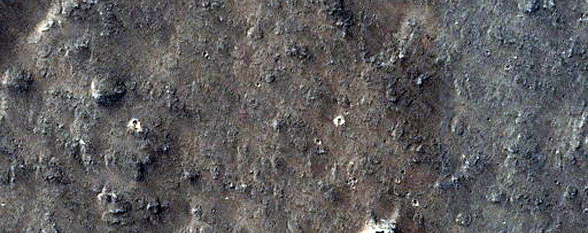 Terrain Sample