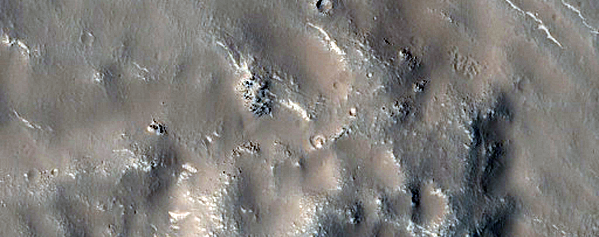 Terrain Sample