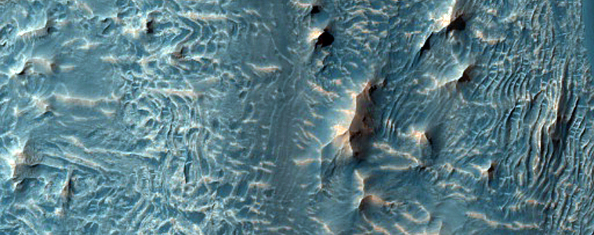 Dune Field