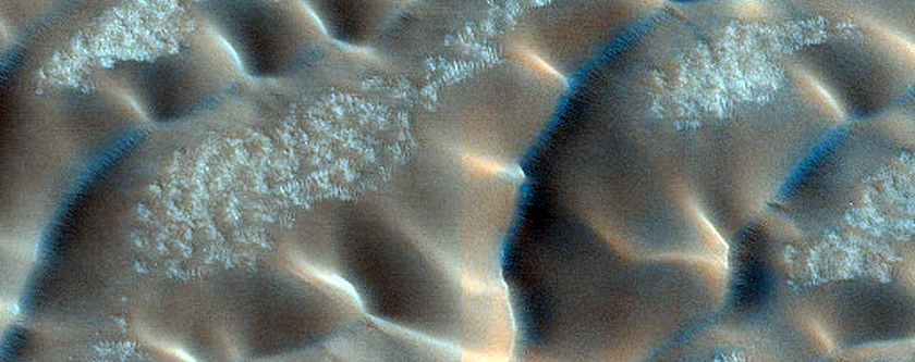 Dunes Dubbed Redondo