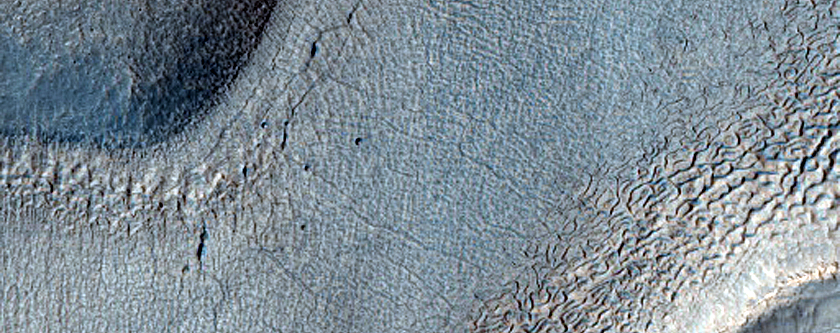 Terrain Sample