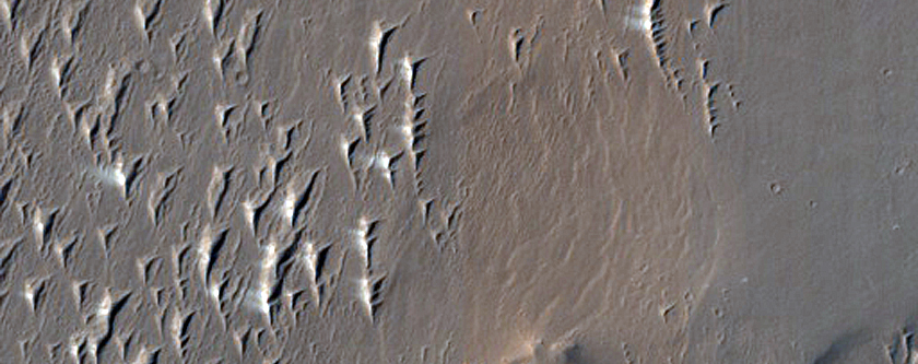 Terrain Northwest of Cassini Crater