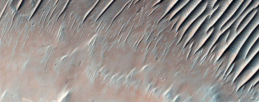 Diverse Bedrock Exposure beneath Extensive Clay Unit in Her Desher Vallis