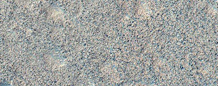 Terrain Sample