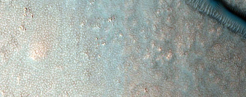 Dune Field