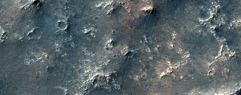 Dune Field