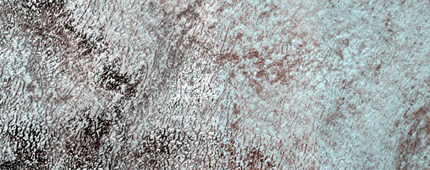 Fringe of Perennial Ice