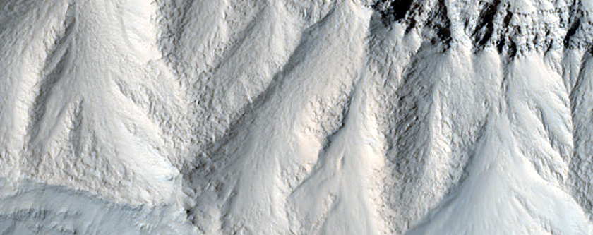 Gully Monitoring