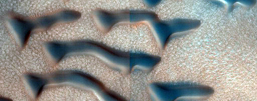 Dune Field