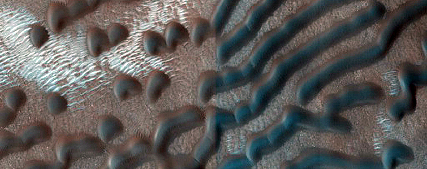 Dune Monitoring in Northern Mid-Latitude Crater