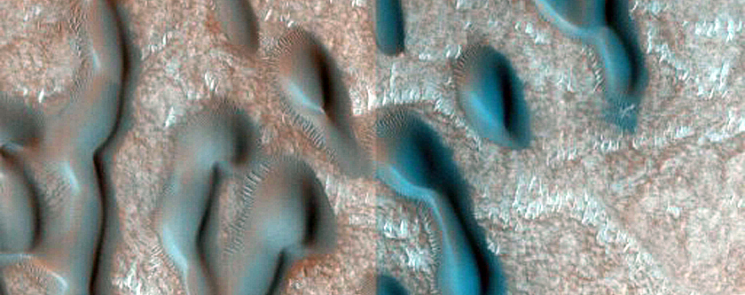 Dune Monitoring in Crater