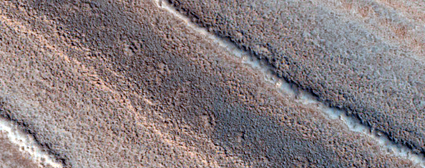 North Polar Layers Trough Exposure