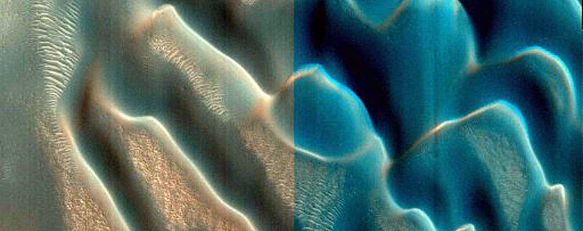 Dune Field