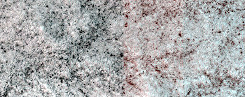 Perennial Ice