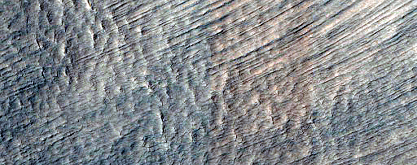 Gully Monitoring