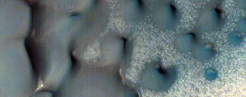 Polygons and Dune Monitoring