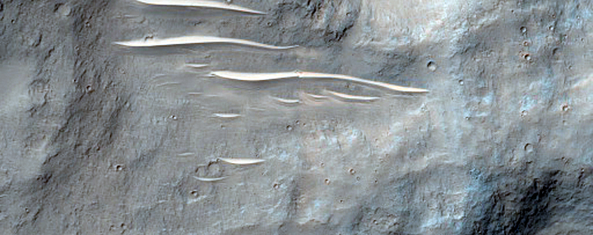 Terrain Sample