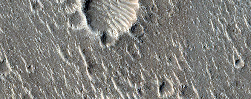 Isidis Planitia