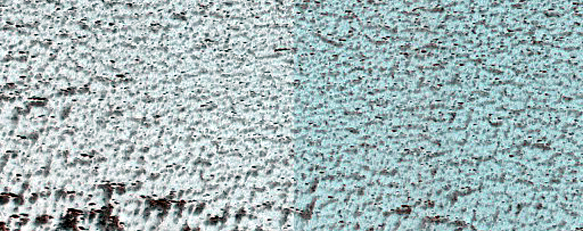 Fringe of Perennial Ice