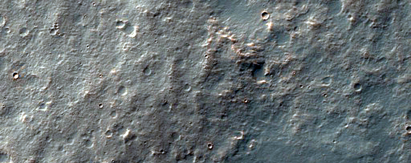 Coracis Fossae