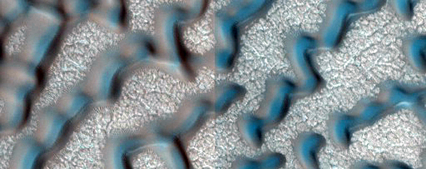 Dune Monitoring in Northern Mid-Latitude Crater