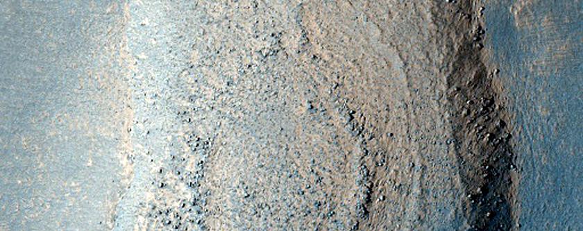 Albedo and Topographic Feature in Western Arcadia Planitia