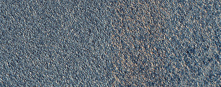 Terrain Sample