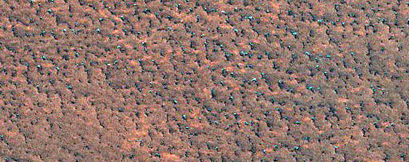 Northern Plains Terrain Sample