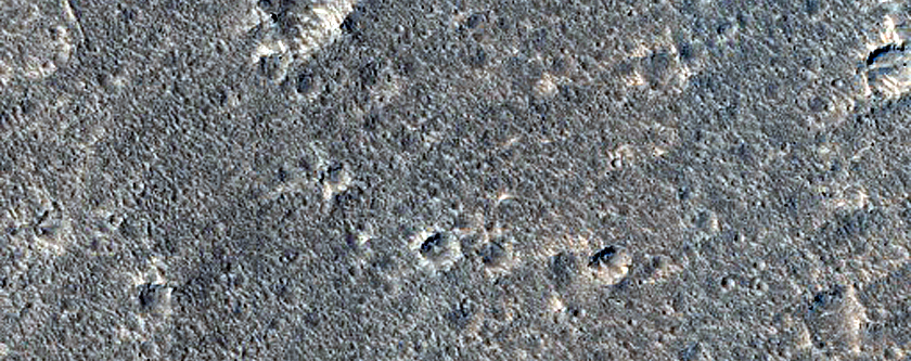 Nepenthes Planum Terrain Sample