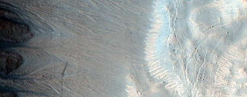 Northern Large Alcove East-Facing Gullies