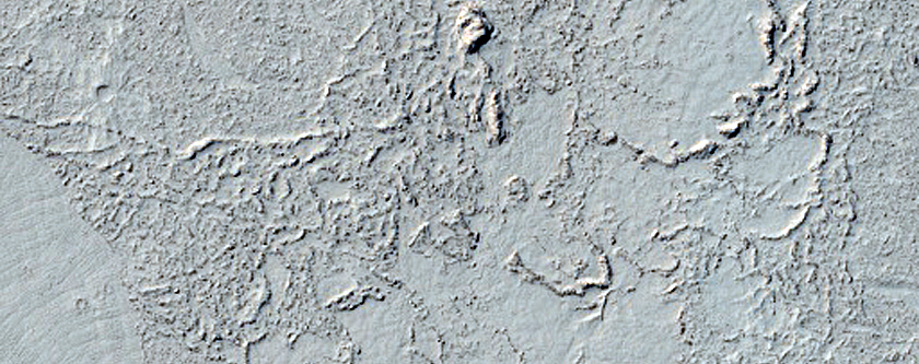 Patterned Ground in Elysium Planitia