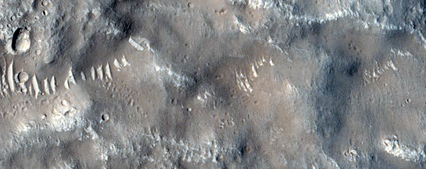 Utopia Planitia