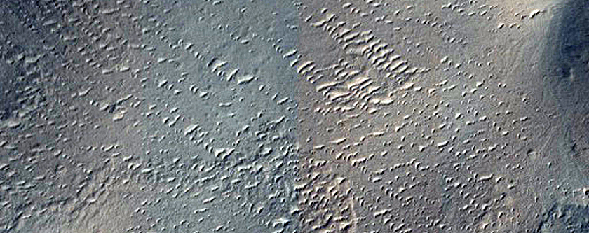 Dune Survey