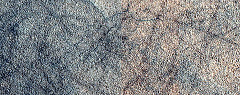 Acidalia Planitia