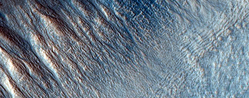 Gullies on Wall of Mesa near Mareotis Fossae